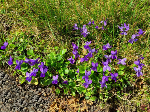 1343858 (a): :2560x1919